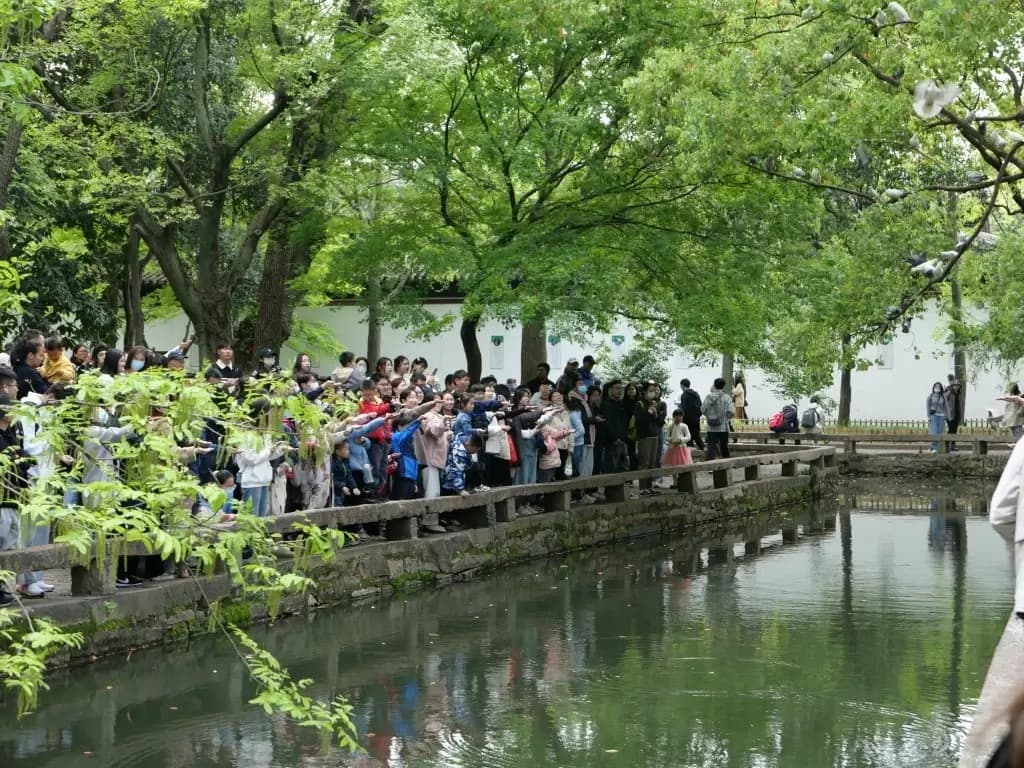 西园寺.人群与鸽子